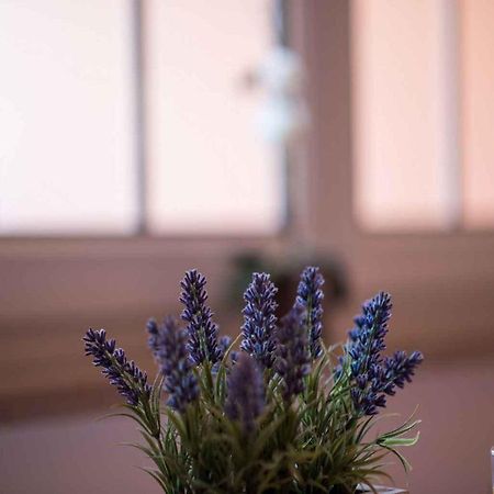 Apartments In Vrbnik/Insel Krk 13597 מראה חיצוני תמונה