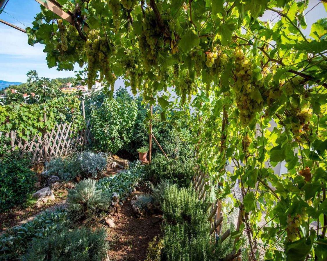 Apartments In Vrbnik/Insel Krk 13597 מראה חיצוני תמונה