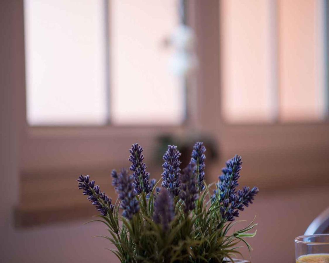 Apartments In Vrbnik/Insel Krk 13597 מראה חיצוני תמונה
